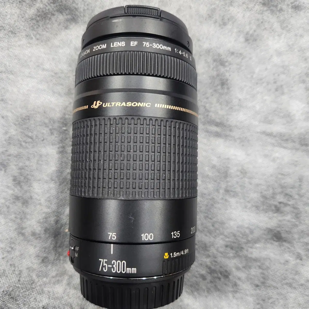 Canon純正 75-300mm 望遠レンズ 美品 a5030 Canon純正 75-300mm 望遠レンズ 美品 a5030 EF75-300mm F4-5.6